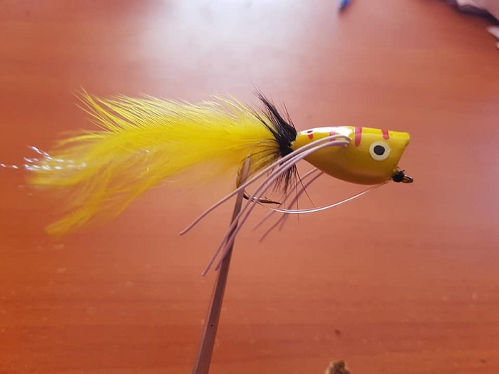 Bass bugs & Poppers - Atepe Fishing Flies